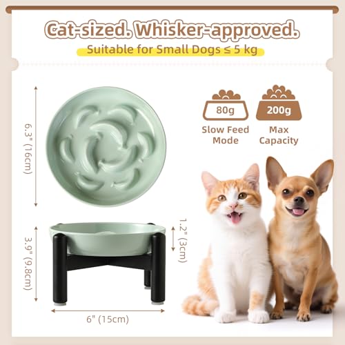 Elevated Slow Feeder Cat Bowl (Green + Metal Stand / 9"H)