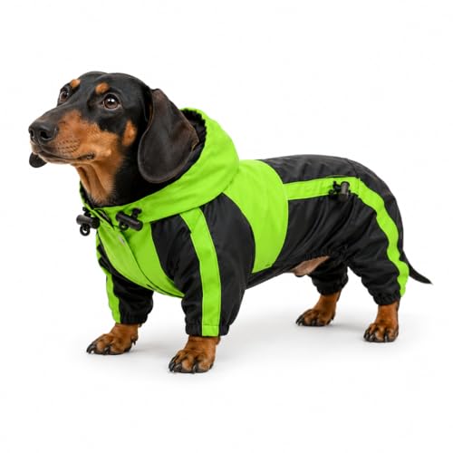 Welsh Corgi Dog Hooded Raincoat (D-M (for Dachshund/Corgi) / Green)