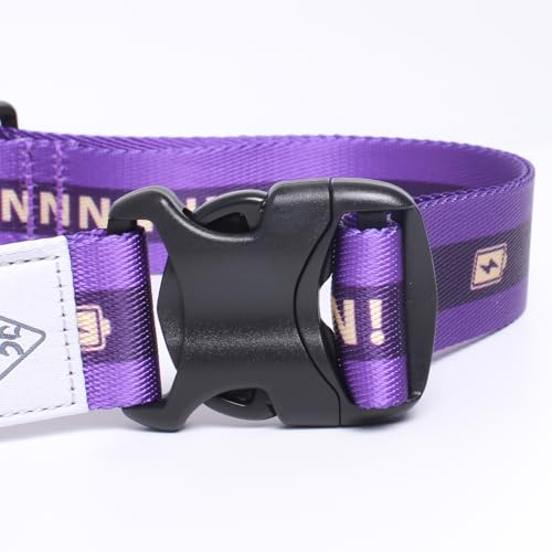 Hands Free Dog Leash with Pouch (Purple)