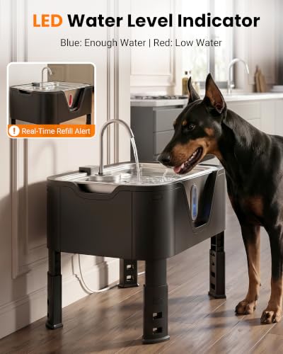 4.75Gal 18L Large Dog Water Fountain Elevated Dog Water Bowl & 3 Filters (Stainless Steel Silver / 4.76Gal Dog Fountain + 3 Filters)