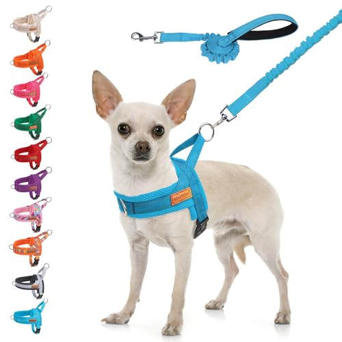 Small Dog Harness and Leash Set (Blue / XS: Chest 15"-18")