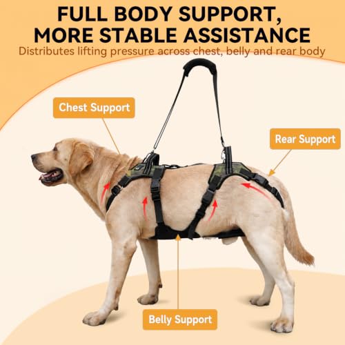 Dog Lift Harness for Senior Dogs (L)