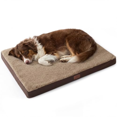 Washable Dog Beds Large Sized Dog with Comfy Sherpa (36"L x 27"W x 3"Th / Brown)