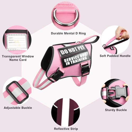 Service Dog Harness and Leash Set (X-Large / Pink)