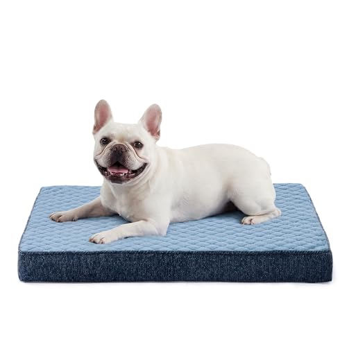 Orthopedic Dog Bed for Small Dogs (S(23"x17") / Blue)