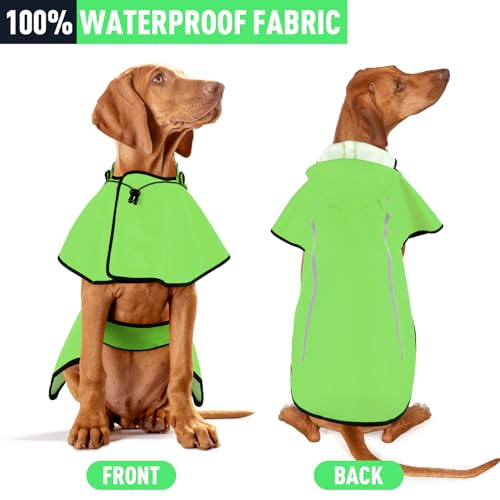 Dog Raincoat with Removable Hoodie (X-Large / Green)