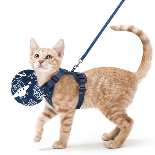 Cat Harness and Leash Set (S / Cosmic Ace)