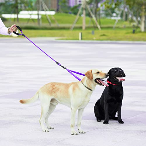 Double Dog Leash (Purple / Large)