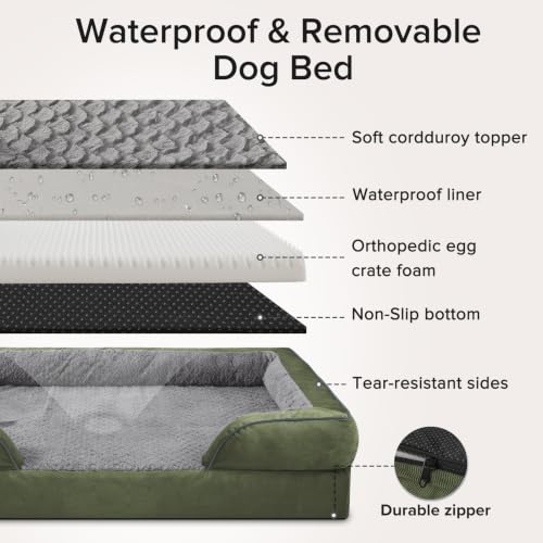 XXL Plus Orthopedic Dog Beds Large Sized (XXL- PLUS (53"x 42"x 8") / Green)