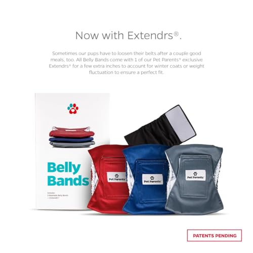 Washable Belly Bands for Male Dogs (X-Large (25-34") / Kingsmen)