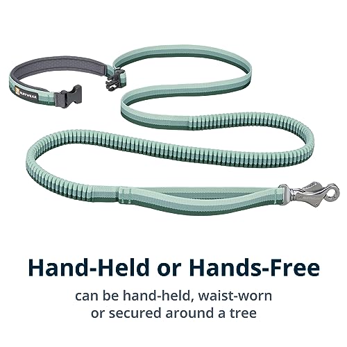Roamer Bungee Dog Leash (5.5'-7' / River Rock Green)