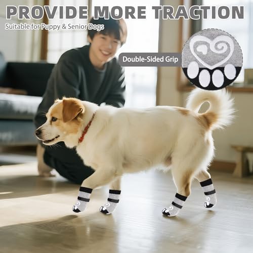 Dog Socks for Hot (Light Grey / Large (4 Pack))