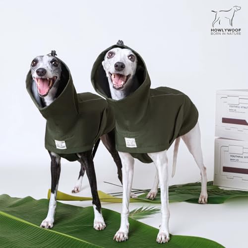 Waterproof Dog Raincoat (05(chest21-23'', back17-19.5''))