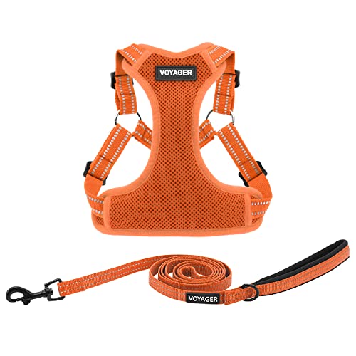 Voyager Adjustable Step (Harness Leash Set (Orange) / S)