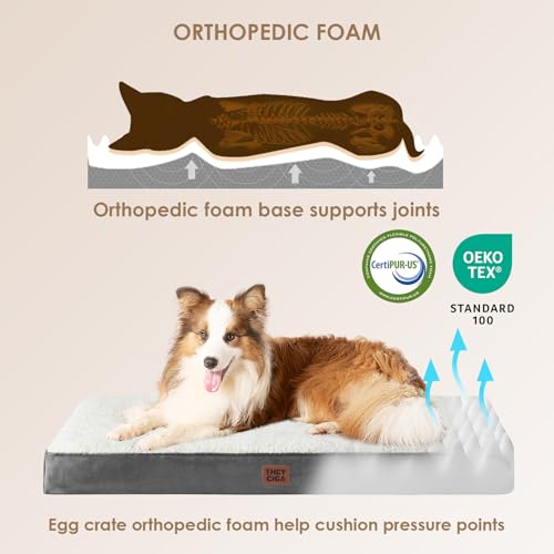 Orthopedic Dog Bed Large with Removable Washable Cover (36*27*3.5 inches / Beige)