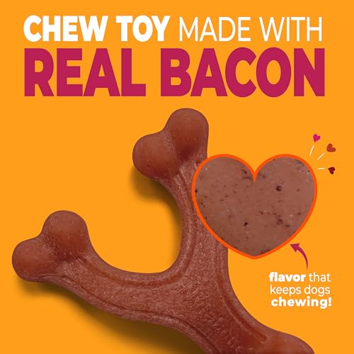 Strong Chew Wishbone Dog Toy (Wishbone / Small)