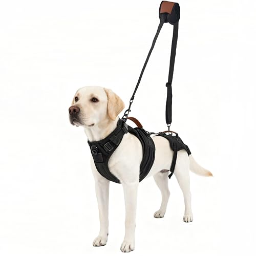 Dog Lift Harness for Male Dogs Full Body Support for Recovery & Mobility（L） (Chest Girth 25.5-31.5")