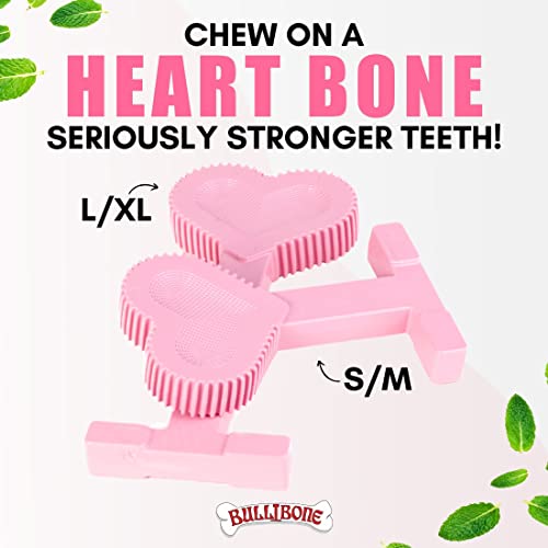 Nylon Dog Chew Toy for Aggressive Chewers (Small - Single)