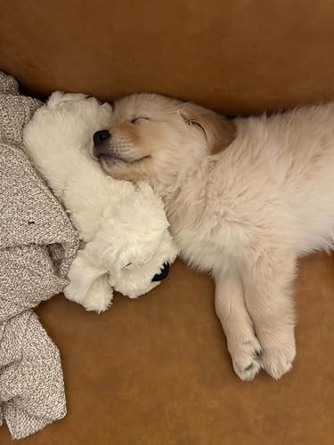 Snuggle Puppy Heartbeat Toy (Golden)