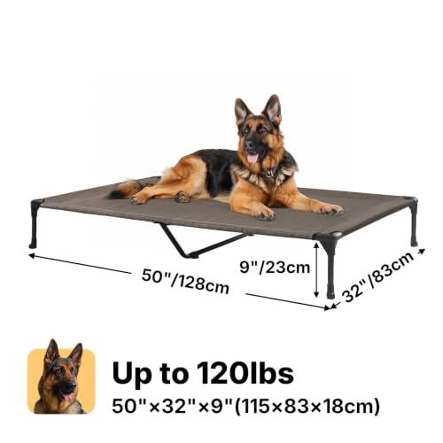 Outdoor Elevated Dog Bed Large Sized Dogs (49.0"L x 33.0"W x 9.0"Th / Brown)