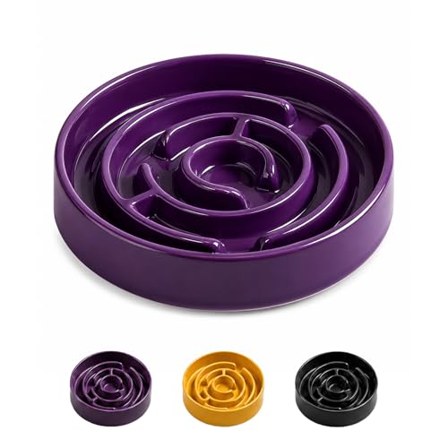 Ceramic Slow Feeder Dog Bowl (Purple)