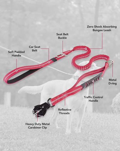 Tactical Bungee Dog Leash (Hot pink)