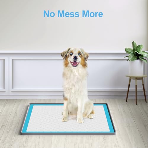 Pee Pad Holder for Dogs (24" x 24" / Dark Grey)