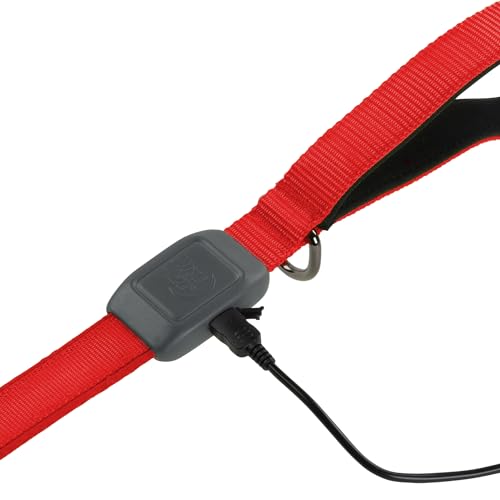 NiteDog Rechargeable LED Leash