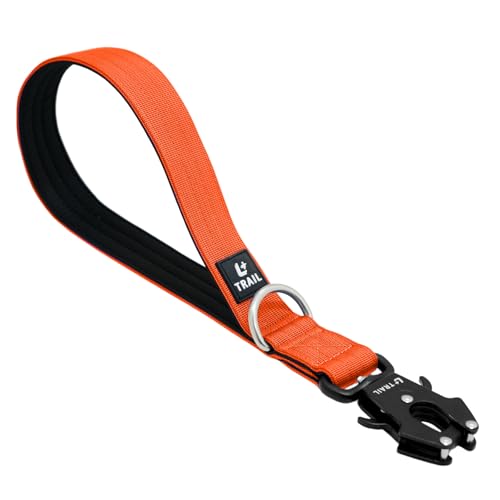 14 Inch Traffic Dog Leash with Padded Handle (Orange)
