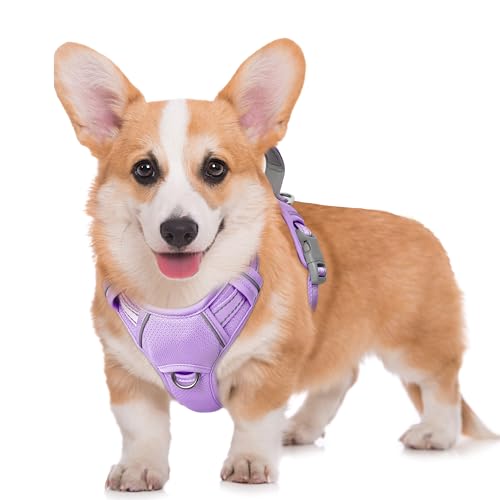 Dog Harness for Medium Sized Dog No Pull Dog Vest ID Tag Pocket (Violet Purple / Medium)