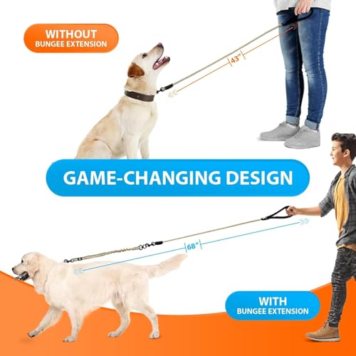 Heavy Duty Bungee Rope Leash (Green Range)