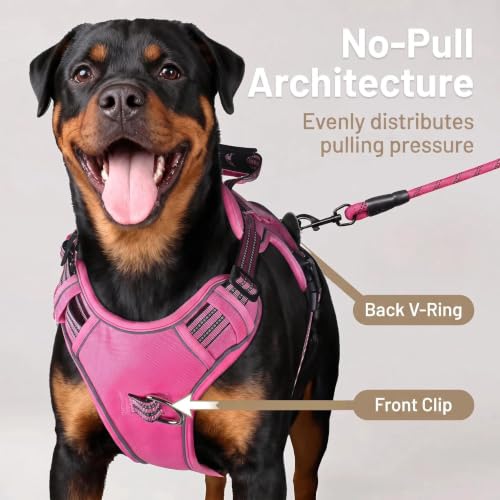 Dog Harness and Leash Set for Small Dogs (Rose Red / S)