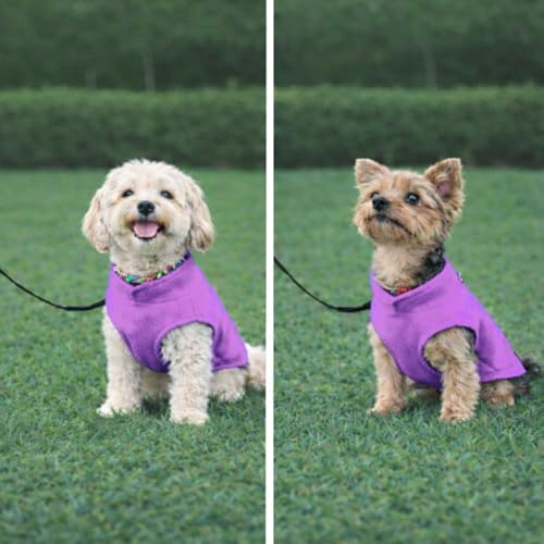 Dog Fleece Vest Sweater with Leash Ring (M (6-10lbs) / Purple)