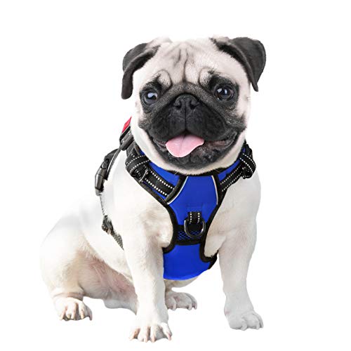 No Pull Dog Harness Medium Reflective Front Clip Vest with Handle (Extra Small / Royal Blue)