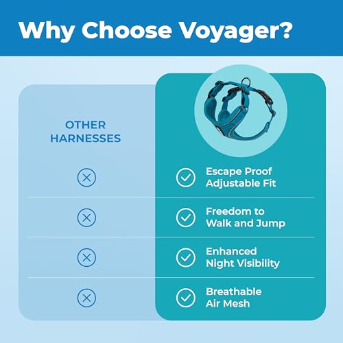 Voyager Escape (Turquoise (327) / XXXS (Chest: 10.5 - 13"))