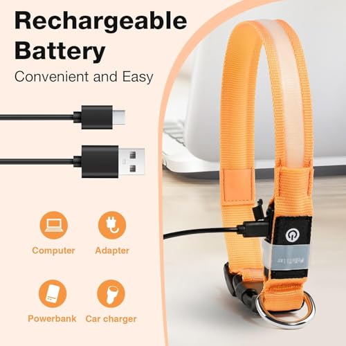 Light up Dog Collar (Orange / S(11 inch-15.7 inch))