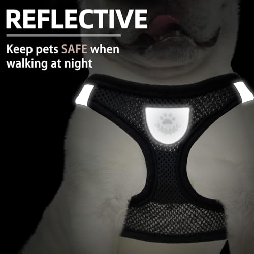 Dog Harness Collar and Leash Set No Pull for Small Medium Sized (Solid Black / XXS (CHEST 11.5"-13"))