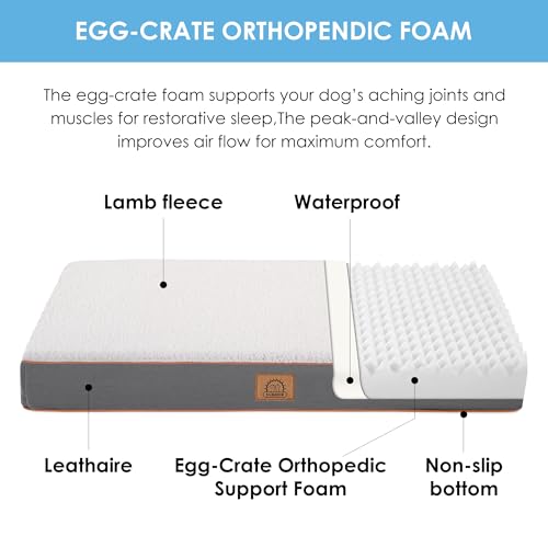 Orthopedic Dog Beds Large Sized Dog (Light Grey / 35.0"L x 22.0"W x 3.0"Th)