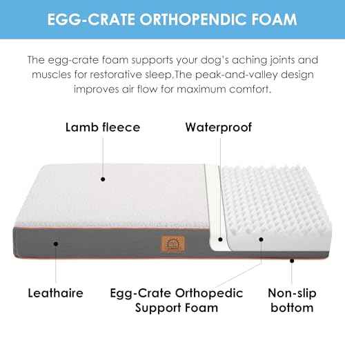 Washable Orthopedic Small Dog Bed (Light Grey / 24.0"L x 16.0"W x 3.0"Th)
