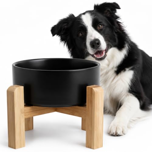 Elevated Ceramic Dog Bowl with Bamboo Stand (Black / 7.6Cup)