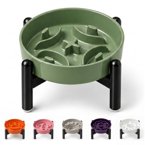 Elevated Slow Feeder Dog Bowl (Green / S（1 Bowl with Stainless Steel Stand）)