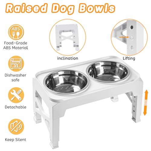 Elevated Dog Bowls with 2 Stainless Steel Dog Food & Water Raised Bowls with No Spill Edge Non (S (6" for Small Dogs) / White)