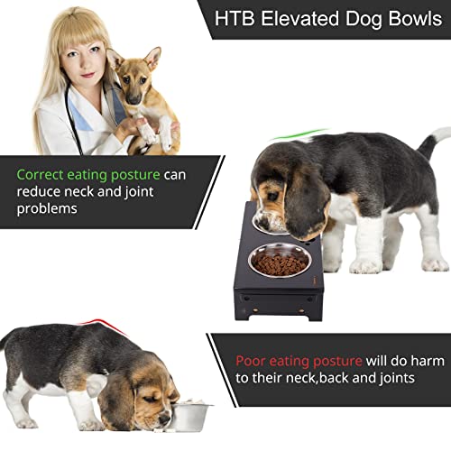 Elevated Dog Bowl Stand with 2 Stainless Steel Bowls (small-4“tall,21 Oz bowl / Black)