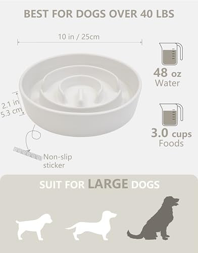 Ceramic Slow Feeder Bowls for Large Dogs (White / 10 Inches)