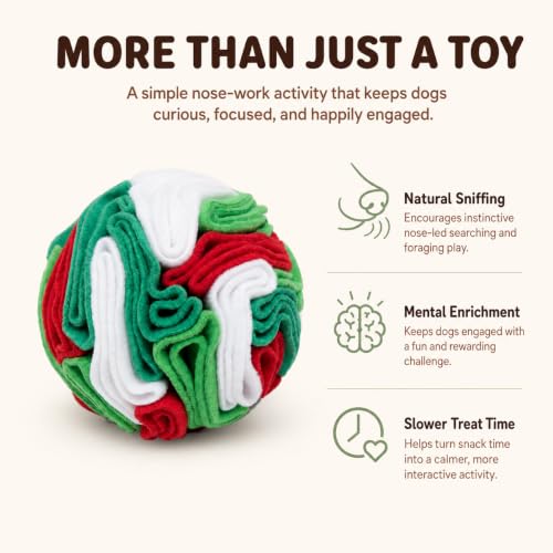 Multi Color Snuffle Ball for Dogs (White & Green / Medium)