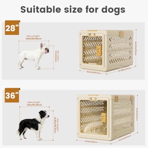 Collapsible Dog Crate for Large (Beige / 36.4"L x 22.8"W x 25.8"H)