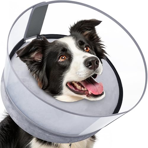 2-in-1 Inflatable Dog Donut Collar for Medium Dogs After Surgery (Grey / M+)