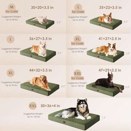 Orthopedic Dog Bed Extra Large with Removable Washable Cover (41*27*3.5 inches / Olive Green)