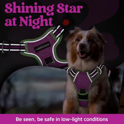 Dog Harness for Large (Purple & Light Green / X-Large)