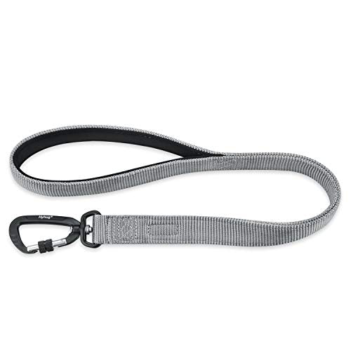 Short Dog Leash 24" (Sleet Gray / 24 Inches)